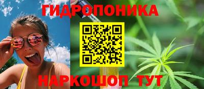 амф Будённовск