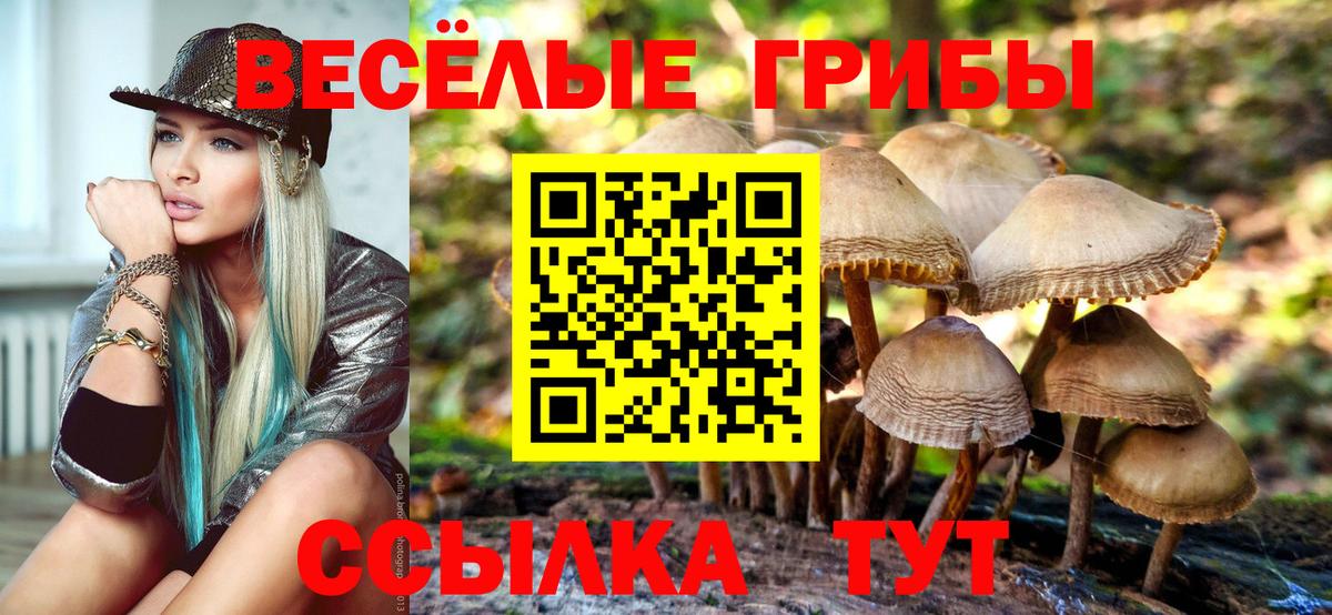 Галлюциногенные грибы мицелий  Вход с VPN  Санкт-Петербург  Галлюциногенные грибы Psilocybine cubensis 