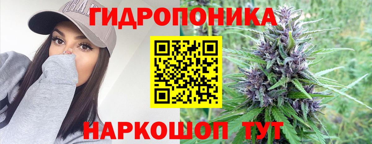 Санкт-Петербург  Бошки марихуана индика  Каннабис гибрид  Бошки Шишки VHQ  Вход с VPN 